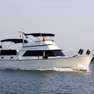 Meet your Posher, Barton